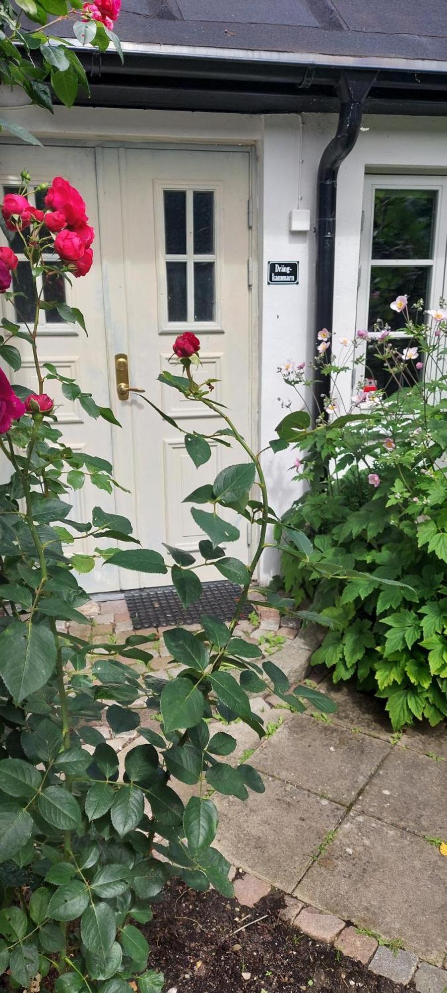 Bjerred B&B Bjärred 외부 사진