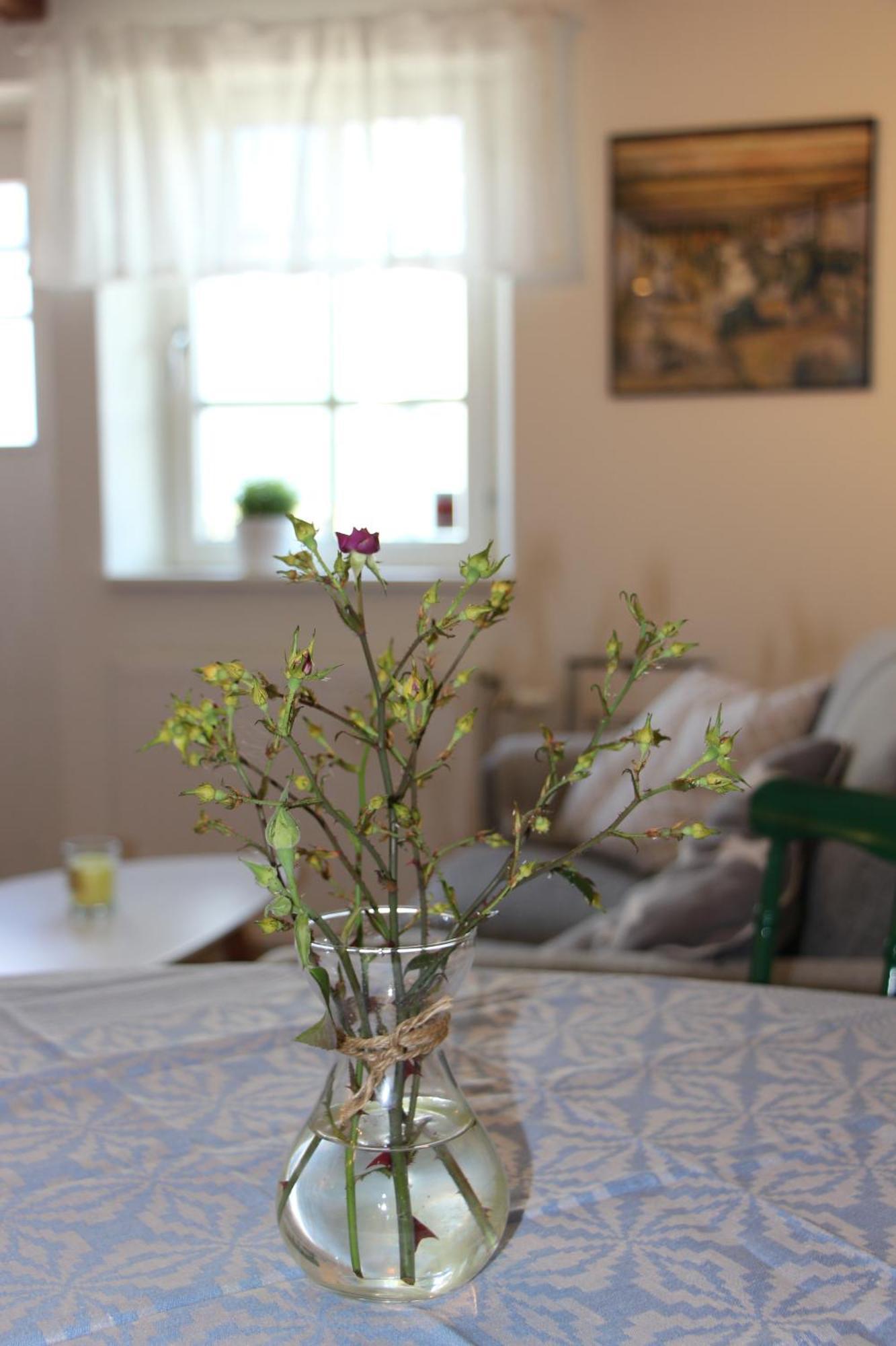 Bjerred B&B Bjärred 외부 사진