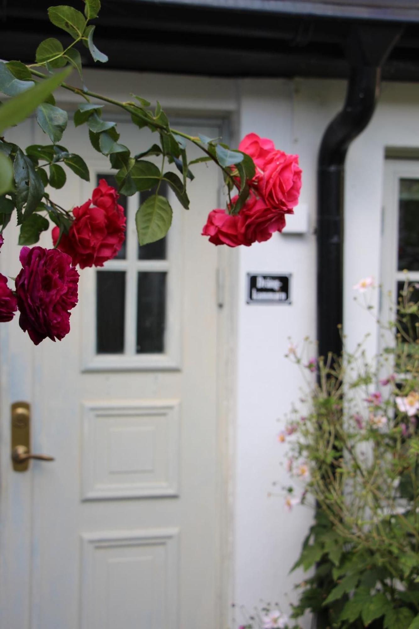 Bjerred B&B Bjärred 외부 사진
