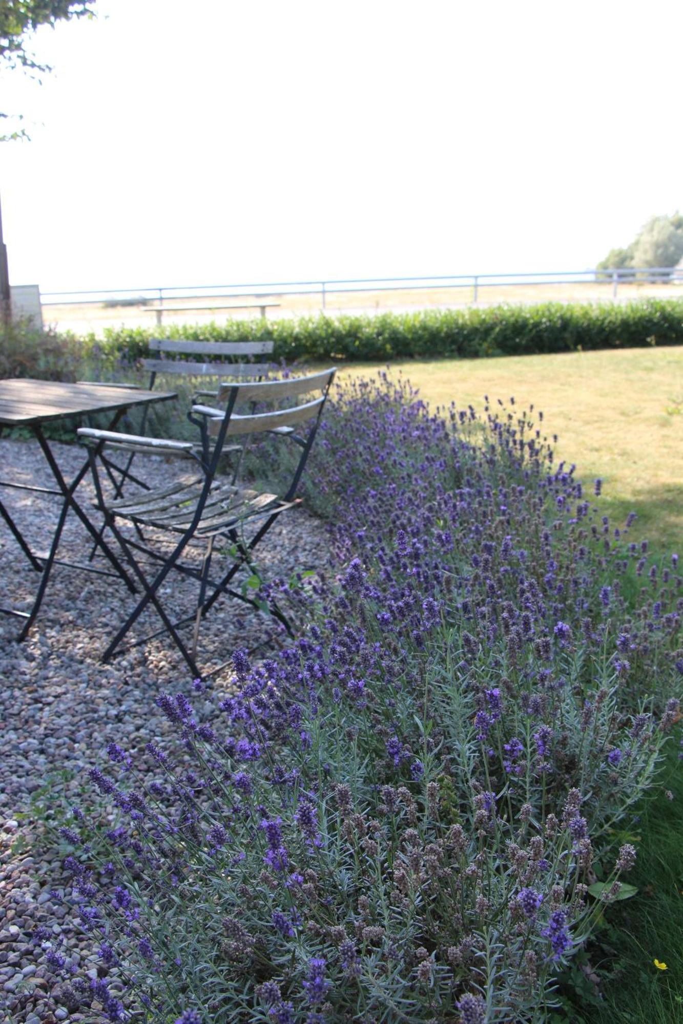 Bjerred B&B Bjärred 외부 사진